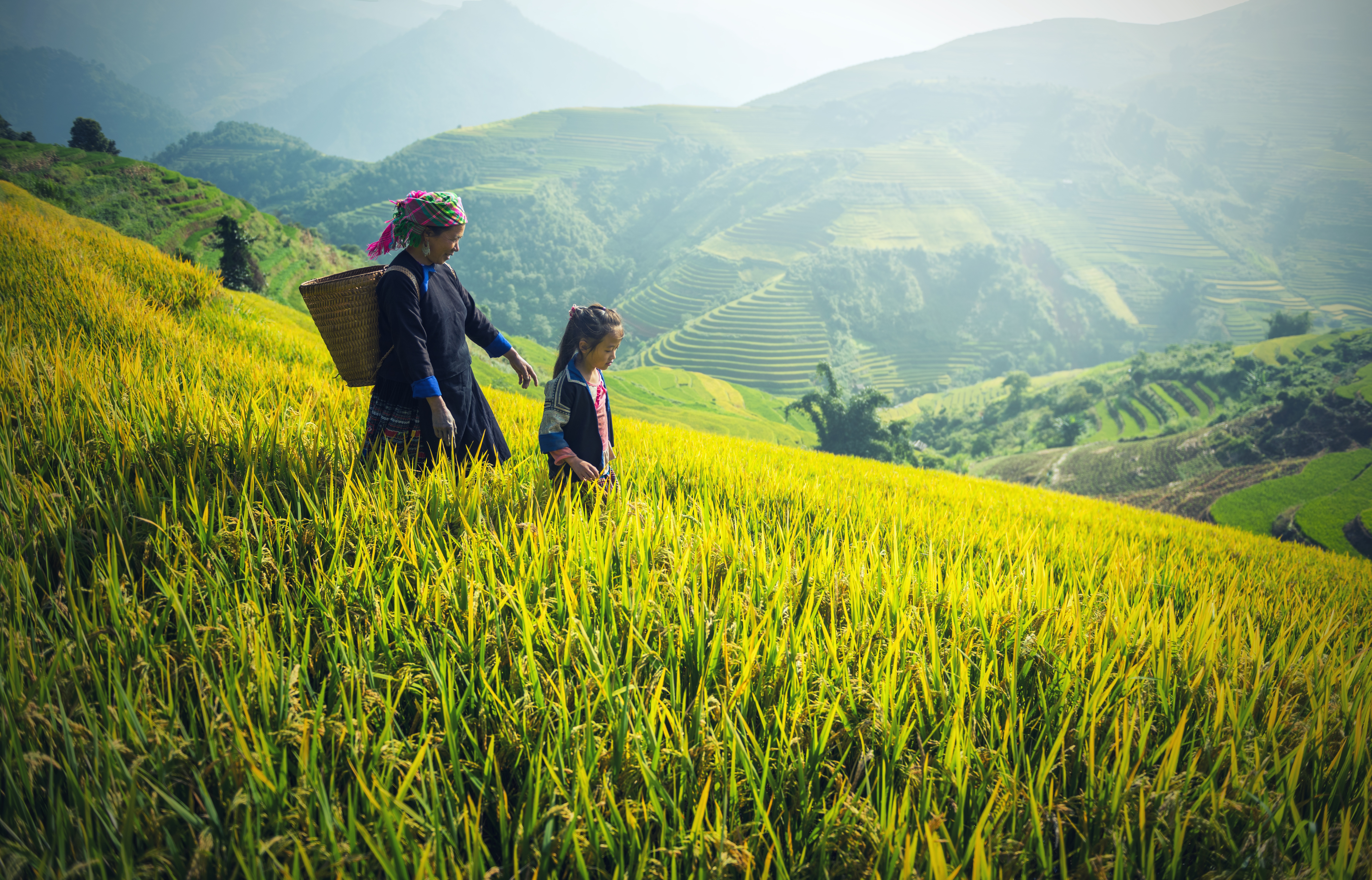 landscape-nature-grass-mountain-growth-plant-1179910-pxhere.com landscape-nature-grass-mountain-growth-plant-1179910-pxhere.com